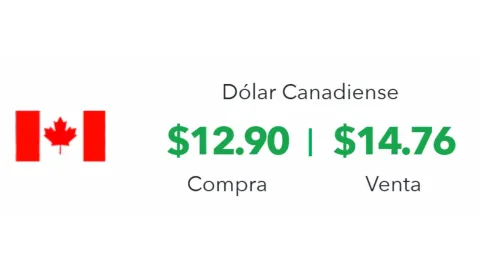 Precio del dólar en México hoy 16 de enero 2025; tipo de cambio