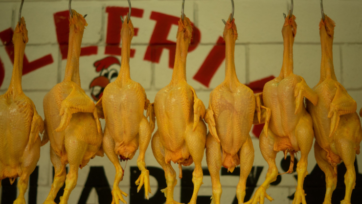 pollos-incendio-zonacentro-tijuana