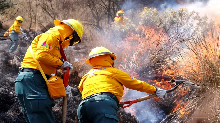 Incendios forestales2_Gobierno del Estado de México.jpg