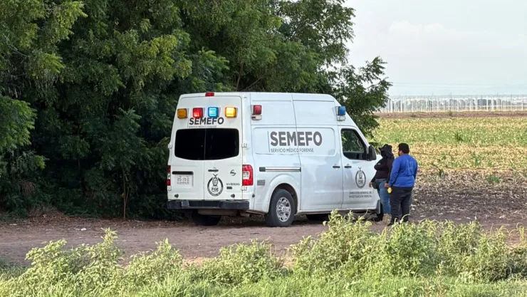 Hallan cuerpo en campo agrícola de Villa Juárez, Navolato