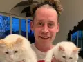Macaulay Culkin