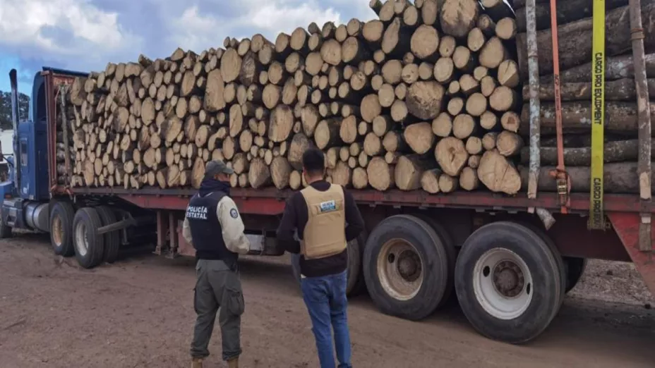 Registran tala ilegal en el Parque Nacional Malinche.jpg