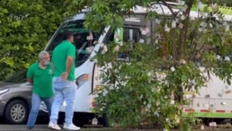 arbol billetes video.jpg