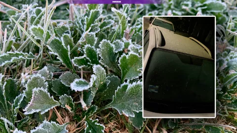 Frente frío en Chiapas: Reportan heladas en San Cristóbal este martes 6 de enero.