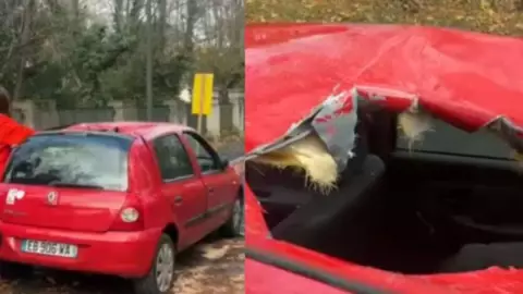 VIDEO_ Meteorito impacta automóvil en Francia