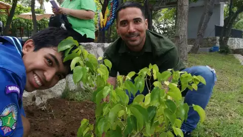 Palo morado Luis Arturo Aguirre