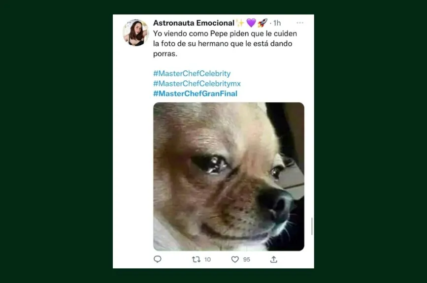 memes masterchef celebrity final (22).jpg