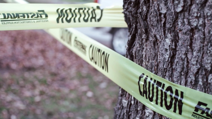 ¿Qué pasó en Buenavista, Michoacán?