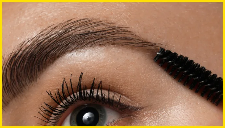 Cejas