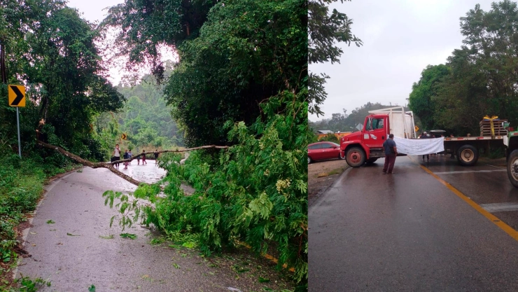 Bloqueo carretero en Chilón: se reporta manifestantes sobre la autopista Ocosingo - Palenque