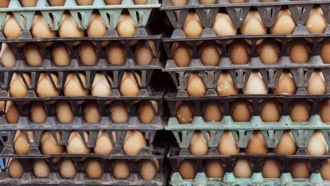 Precio del huevo en México del 17 al 23 de junio se encareció