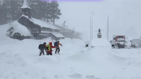 Confirman 8 muertos tras avalancha en California.