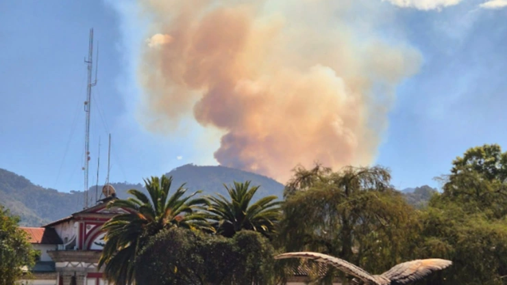 incendio tetela de ocampo puebla hoy