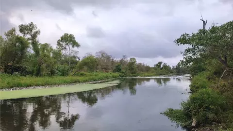 Identifican hombre muerto en río Cazones