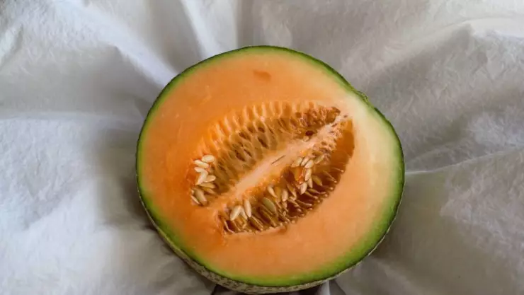 Reportan muertes en Estados Unidos por comer melones mexicanos