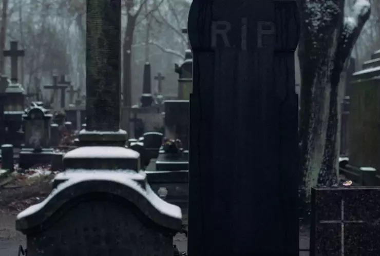 peste negra nuevo estudio 2.jpg