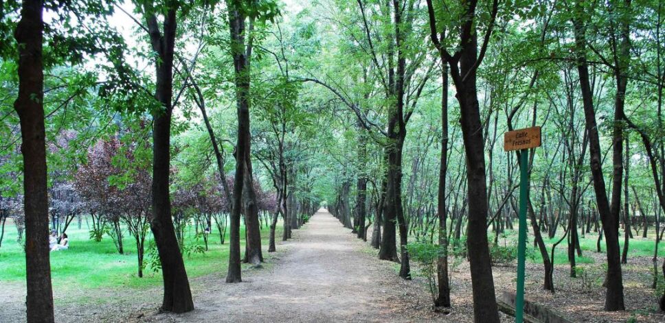 Viveros de Coyoacán