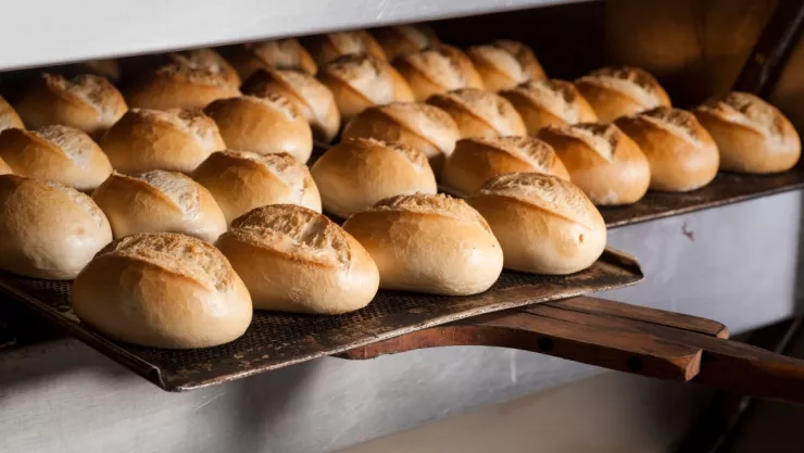 Bolillo tiene contenido nutrimental según la UNAM
