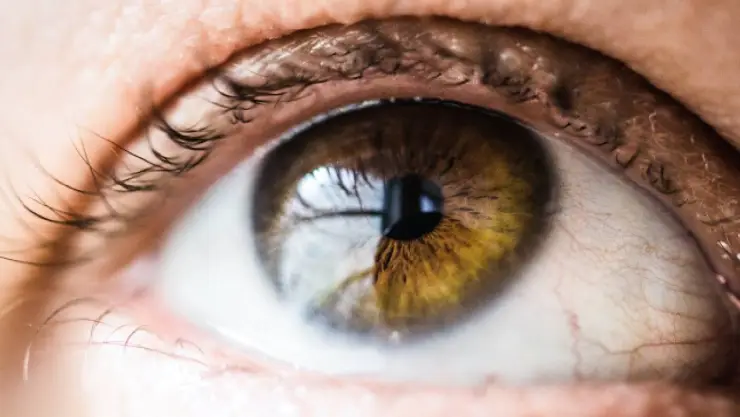 Gotas para los ojos matan a una persona en EE.UU y dejan 55 infectados