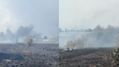 Incendio de pastizal alcanzó predio en zona de FINSA en Cuautlancingo hoy; llamas sin control