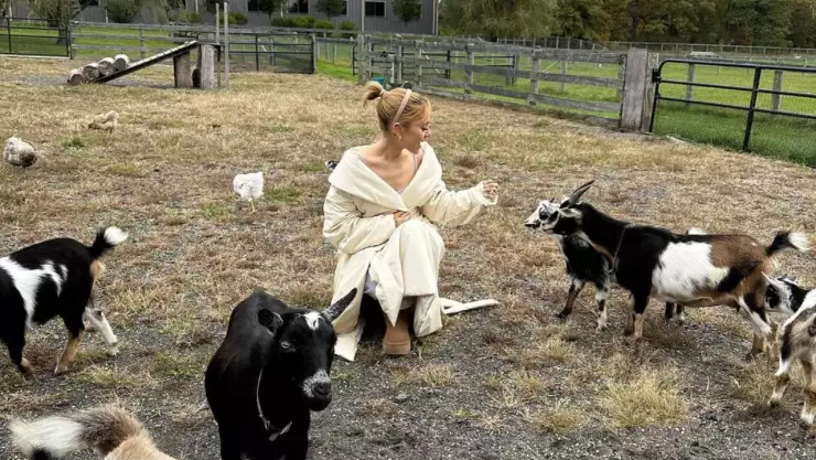 Ariana Grande nuevo álbum