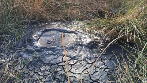 Nace géiser en Zacoalco de Torres; esta es la causa de su formación