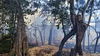 Se registra incendio de cabañas en Tulum