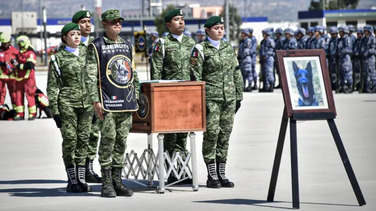 Ej&eacute;rcito rinde homenaje al perrito rescatista Proteo