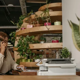 plantas buena suerte oficina.jpg