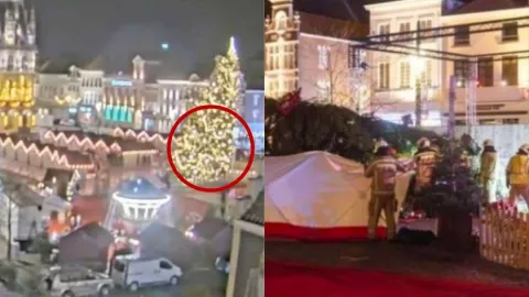 ¡Tragedia navideña! Mujer muere aplastada por un árbol de Navidad de 20 metros