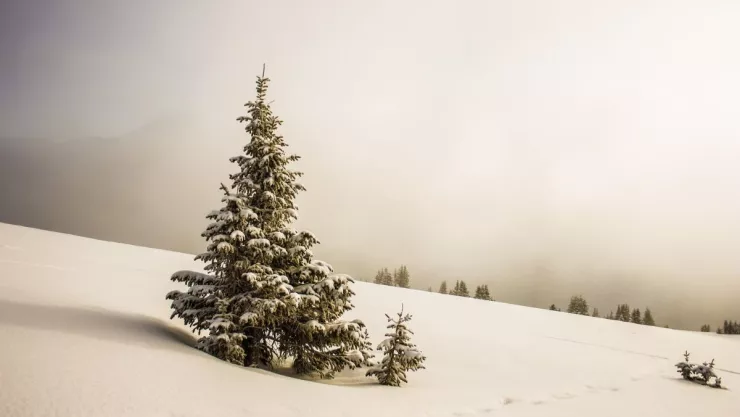Hombre sin hogar muere de frío, intentaba pasar Navidad con su familia