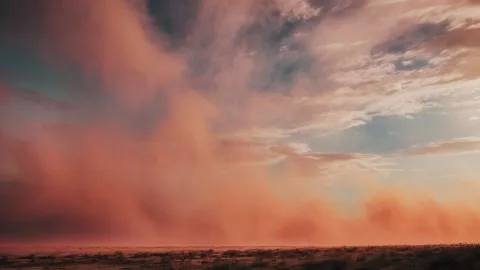 Cuándo llega a México el Polvo del Sahara y qué hacer al respecto.jpg
