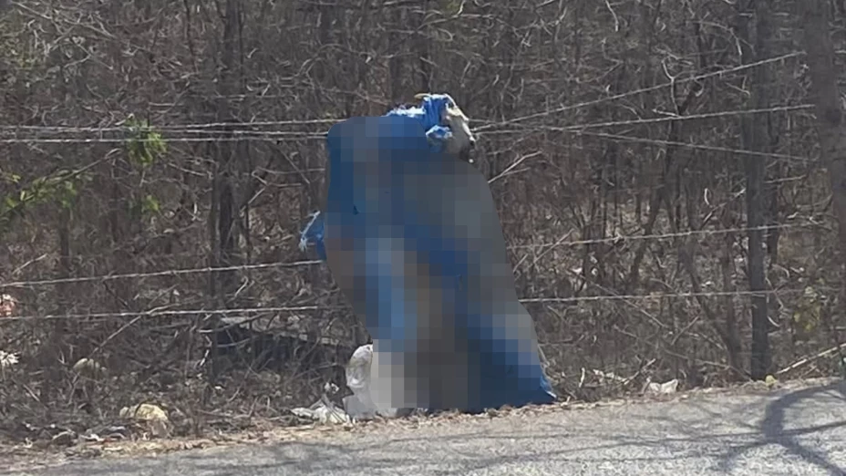 ¡De MIEDO! Andaba por el sur de Mérida y se encuentra una cabra sin vida colgada; esto se sabe