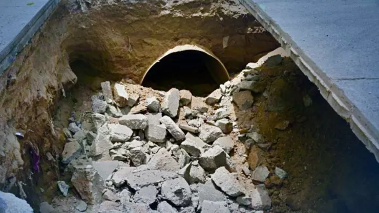 Más viejos que tu abuelito, estos son los colectores más antiguos del Área Metropolitana de Guadalajara