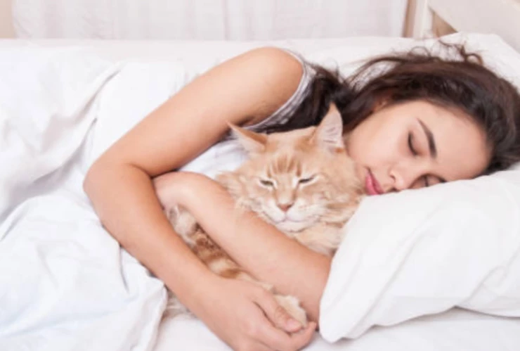 Esto significa dormir con tu perro o gato en la cama para la psicolog&iacute;a