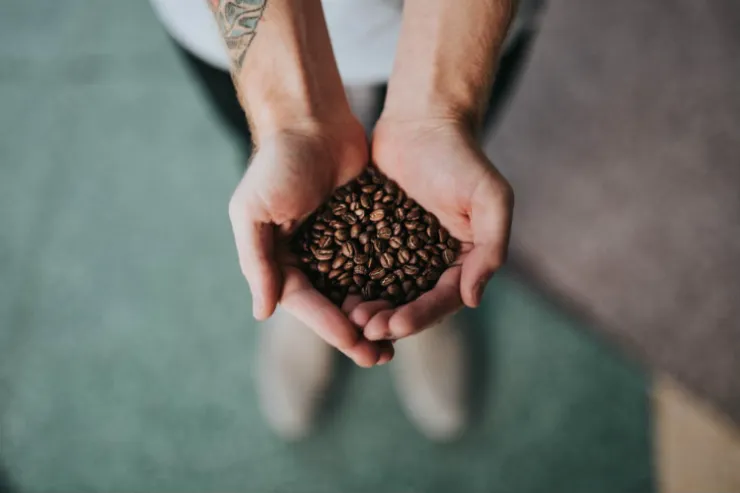 Foto: StockSnap.io
