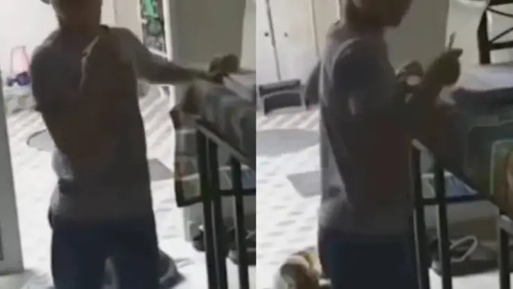 Viral_ Niño le pide ayuda a Alexa a escondida de su mamá; aparato le responde susurrando