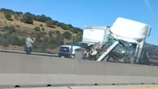 1280 x 720 px (33).jpg