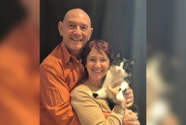 Filou, gato que viajó 250 km para regresar a casa