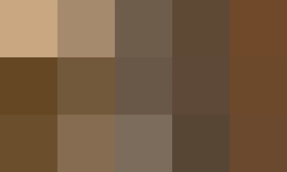 El popular robot de la NASA capturó imágenes impresionantes