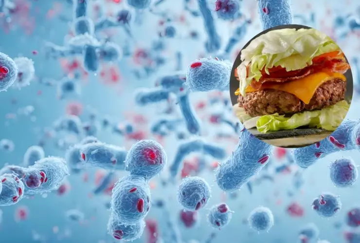 Enfermedad que provoca la bacteria e coli