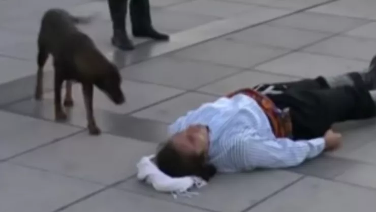 Actor perrito salvarlo 2.jpg