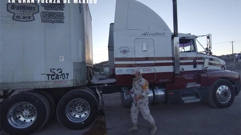 La Sedena informó que elementos del Ejército Mexicano lograron asegurar más 849 kilogramos de metanfetamina en municipio de Loreto en Baja California Sur.