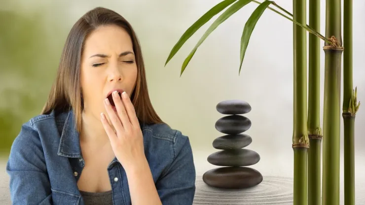 El Feng Shui revela cómo eliminar de tu vida el cansancio.jpg