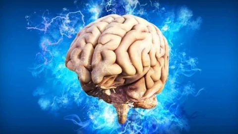 Día Mundial del Cerebro 2022 funciones