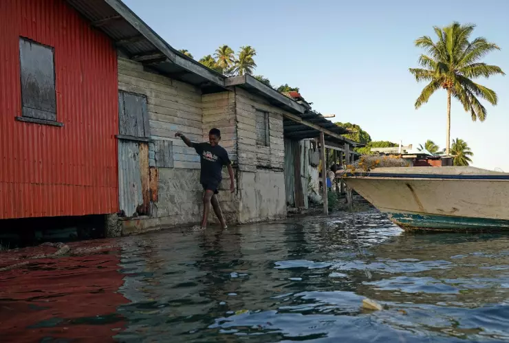 cambio climático enfermedades