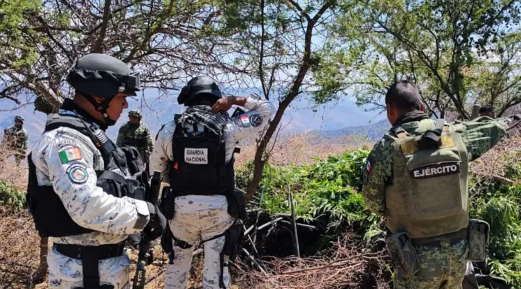 Masacre en Guerrero: Lo que se sabe de los asesinatos en Heliodoro Castillo