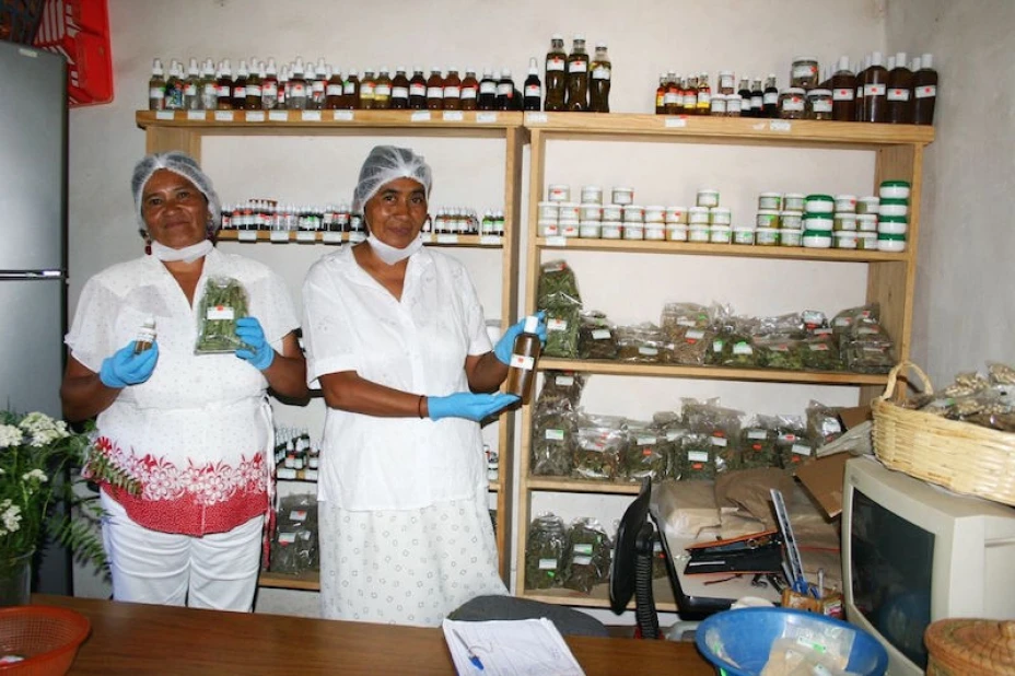 Farmacias vivientes
