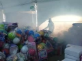 ¡No dejes de sumarte a esta gran aventura, hoy más que nunca merecen sonreír!