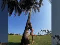 Danna Paola posando.jpg